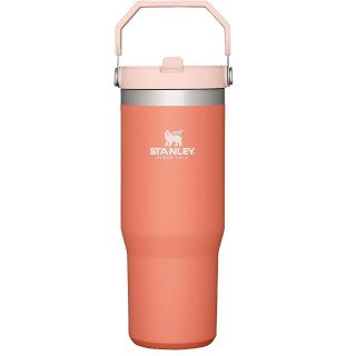 STAN 30OZ CLASSIC FLIP STRAW TUMBÿGRAPEFRUIT