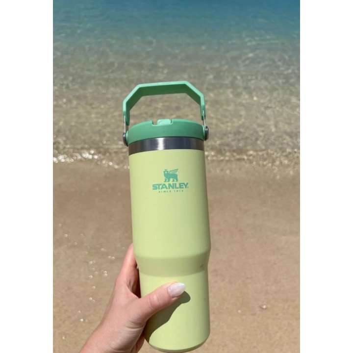 STAN 30OZ CLASSIC FLIP STRAW TUMBÿCITRON
