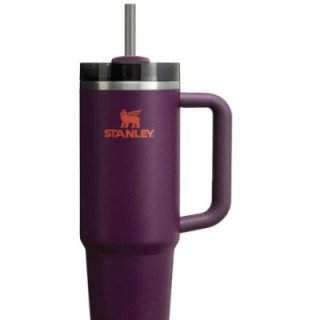 Quencher H2.0 Adventure Plum | 887 ml