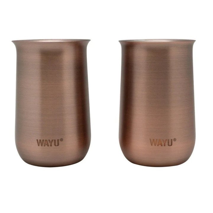 SET 2 VASOS APERITIVO COPPER LINE WAYU